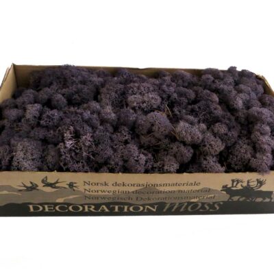 Islandmoos - Aubergine