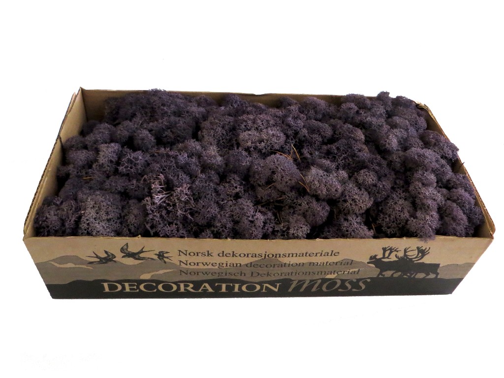 Islandmoos - Aubergine