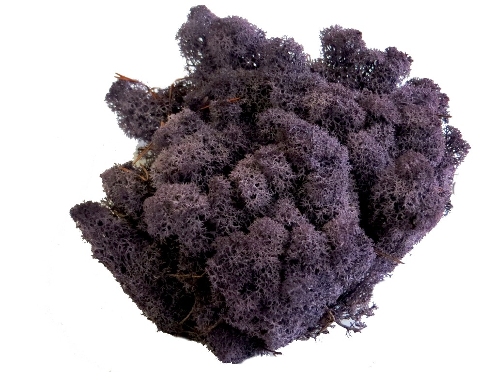 Islandmoos - Aubergine