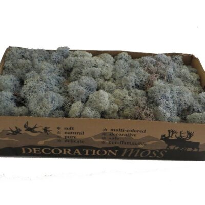 Islandmoos - Eisblau