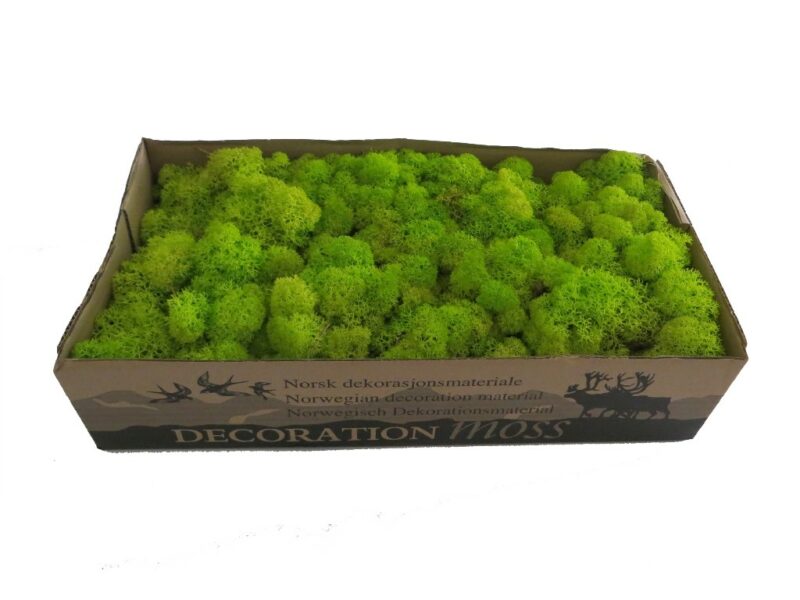 100g Moos Deko,Kunstmoos Zum Dekorieren,Islandmoos, Produktbild-Vorschau 7