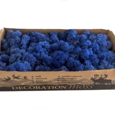 Islandmoos - Königsblau