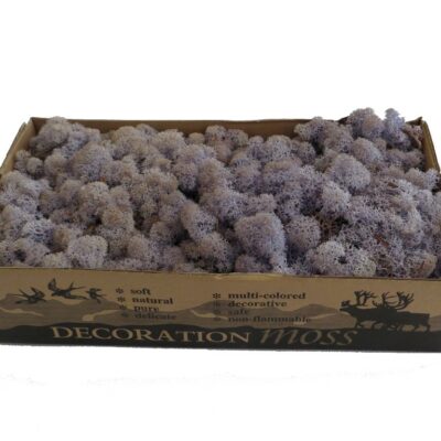 Islandmoos - Lavendel