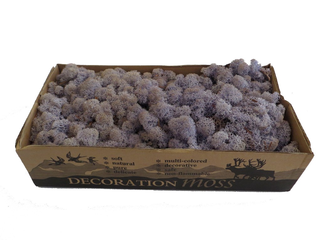 Islandmoos - Lavendel