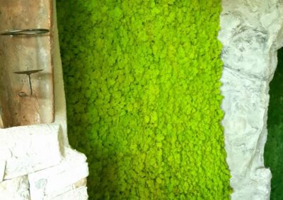 Kunstfelsen Mit Islandmoos - Ausstellung