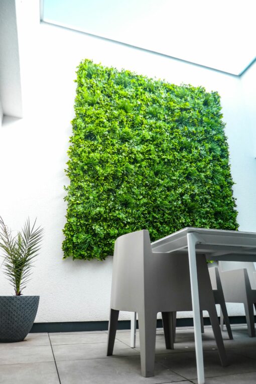 Kunstpflanzen Wand - Schefflera - Wintergarten