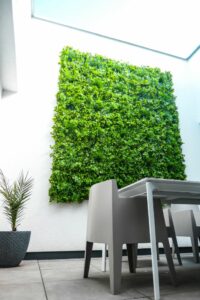 Kunststoff Pflanzwände - Schefflera - Wintergarten