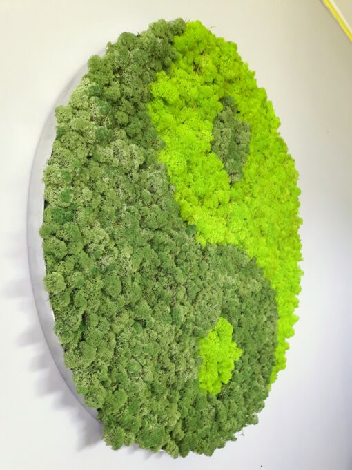 Moosbild Islandmoos - Yin Yang