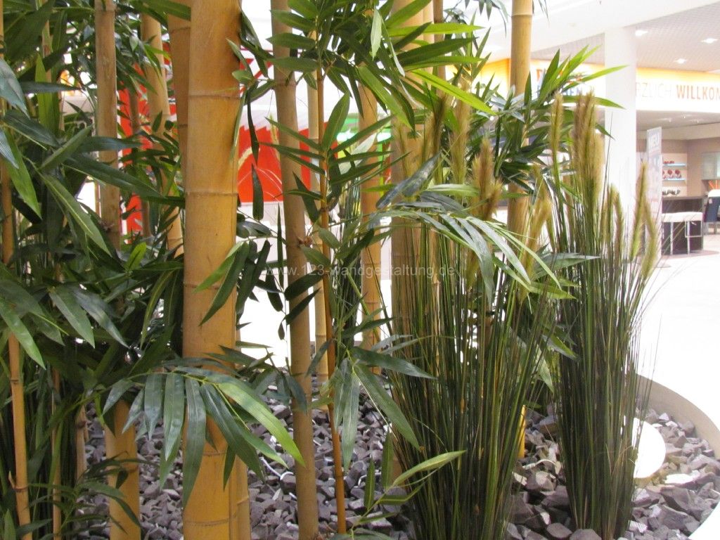 Grünraumgestaltung – Bambuslandschaft – Möbelhäuser