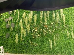 Pflanzwand - Wandgestaltung - Einrichtungshaus
