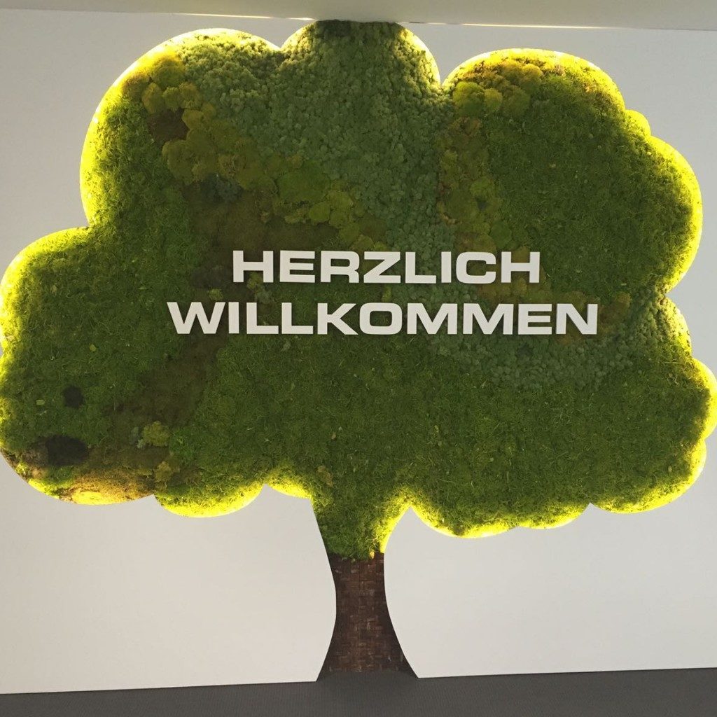 wandgestaltung-individuelle-mooswaende