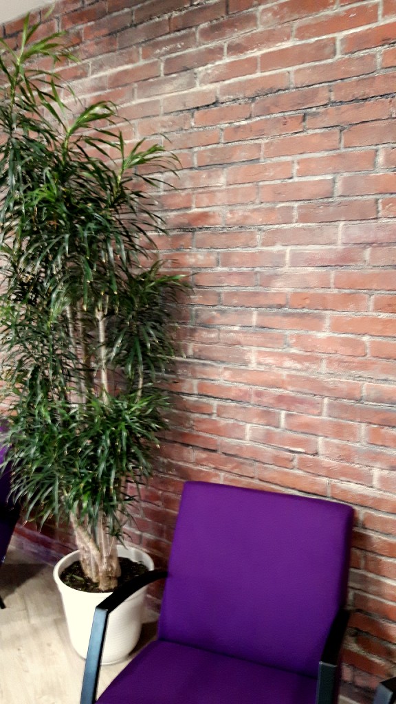 Rustikale Ziegel Steinwand im Büro in Hamburg